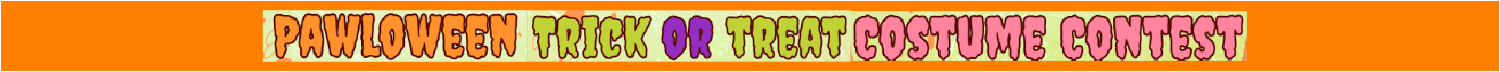 Halloween Pet Pictures